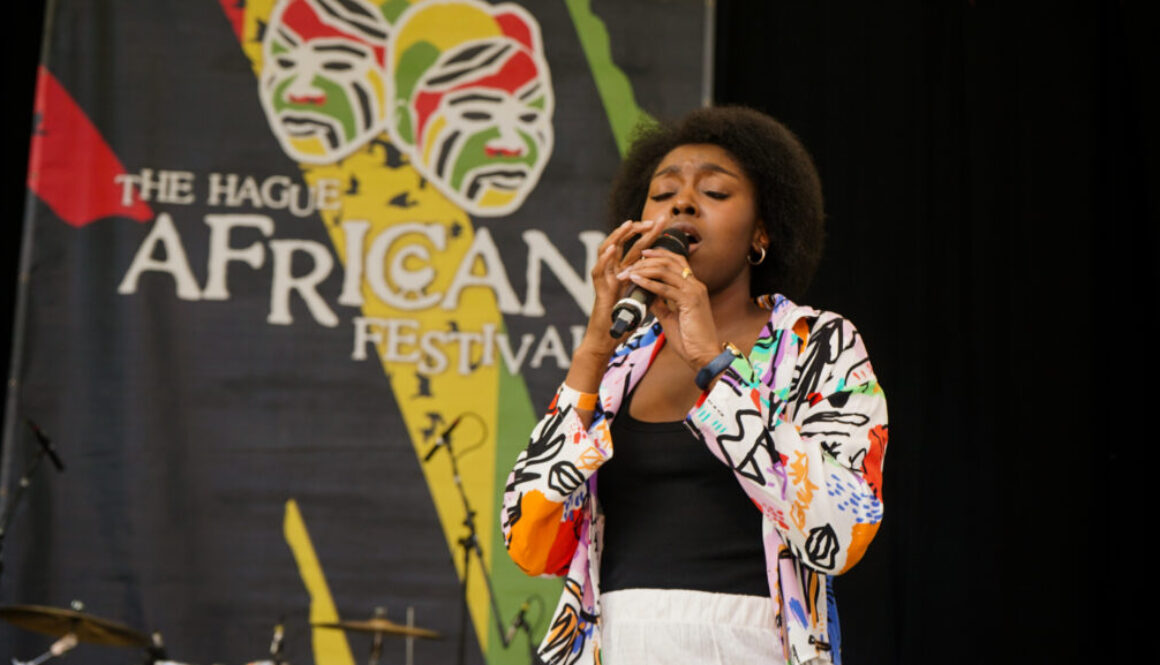 28_juli_The_Hague_African_Festival-60 28_juli_The_Hague_African_Festival-60